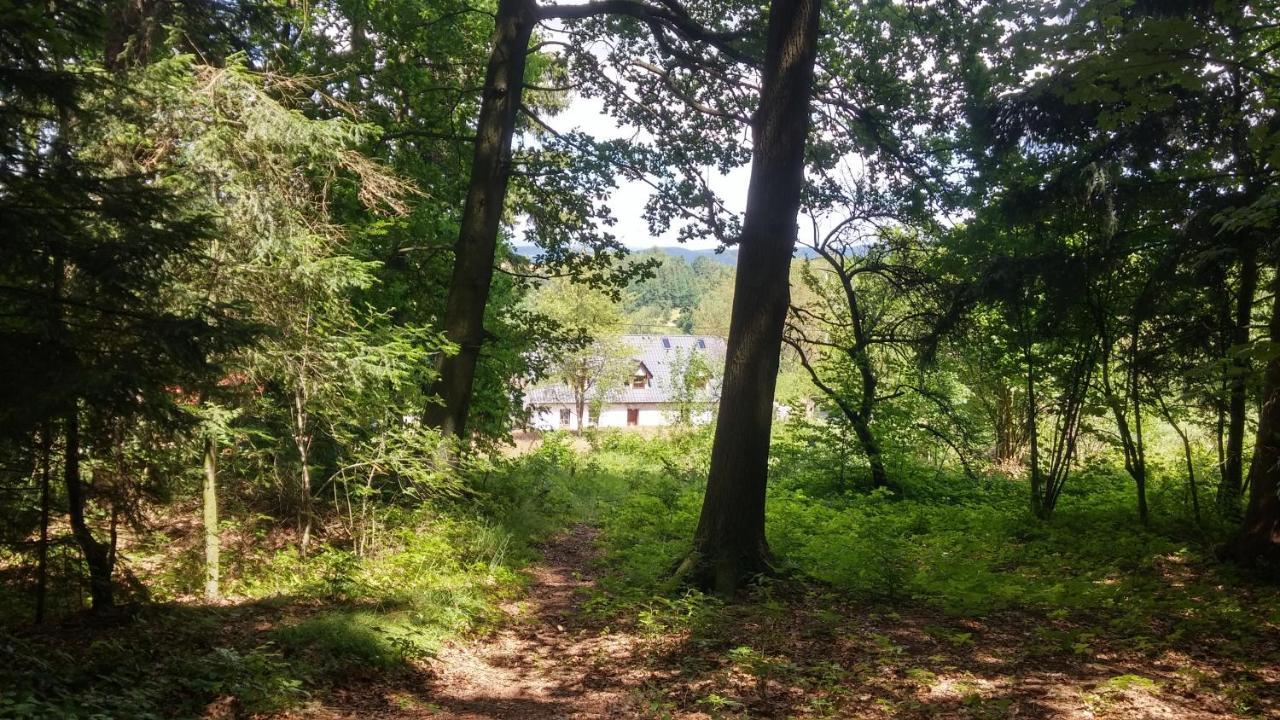 Pokoje Goscinne Art- Dworek Bad Kudowa Exterior foto
