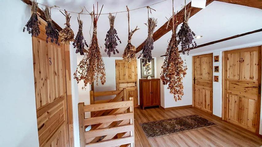 Pokoje Goscinne Art- Dworek Bad Kudowa Exterior foto